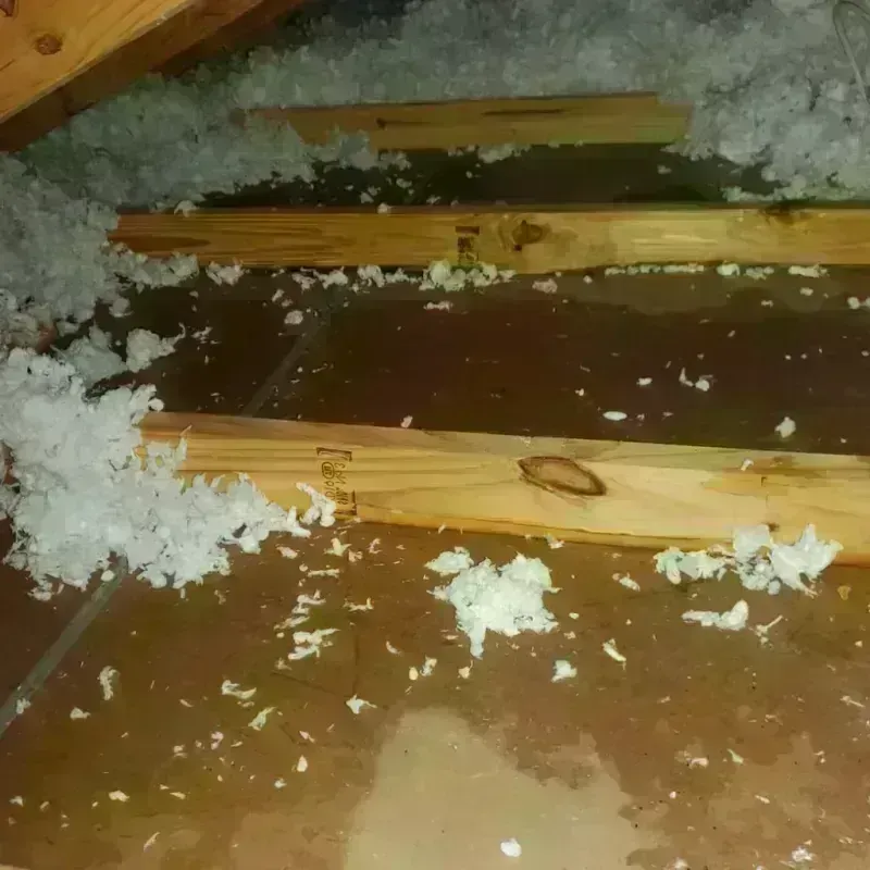 Attic Water Damage in Asheboro, NC