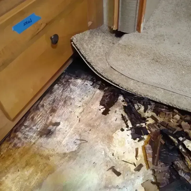 Best Wood Floor Water Damage Service in Asheboro, NC